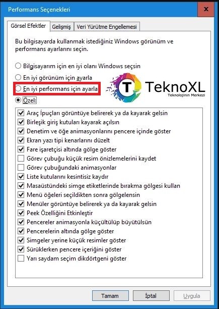 Windows 10 hızlandırma için performans seçenekleri